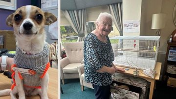 Chester care home colleagues celebrate therapy dog and two new budgies that provide ‘sense of respon